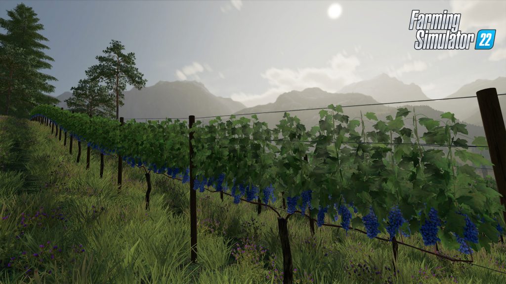 Neue Pflanzen im Landwirtschafts-Simulator 22: Videopräsentation + Screenshots 
