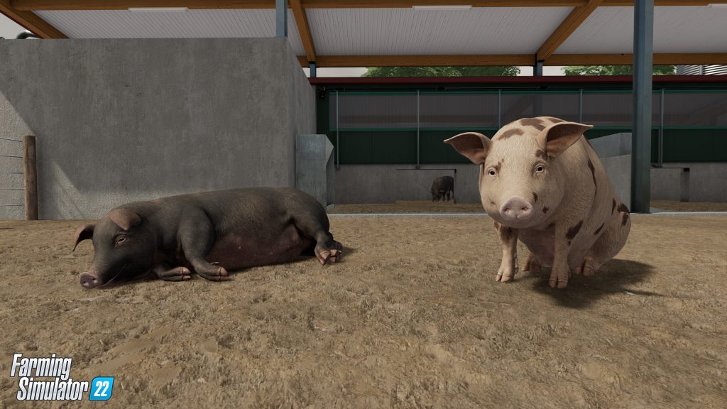 FS22 Farm Animals Railer & Top 10 Gründe für die Tierhaltung! 