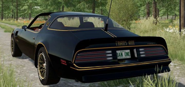 Trans Am