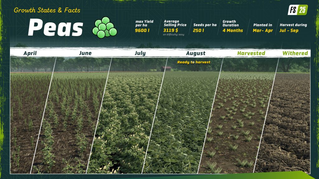 Landwirtschafts-Simulator 25: Erbsenerntemaschine 